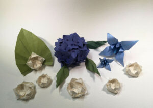 Fiori e foglie