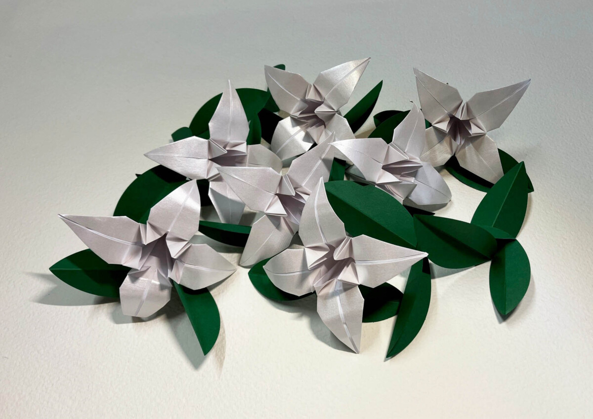 Domenica 27 Aprile
9.30-17.30
CORSO intensivo PAPER ARTIST
Fiori e foglie origami, kusudama, bouquet e composizioni floreali da tavolo e d'arredo
