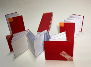 Libri a fisarmonica espansi