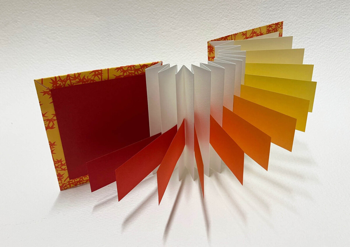 Domenica mattina 22 Marzo - CORSO LIBRO d'ARTISTA - Carte multicolori montate su base a concertina fluttuante