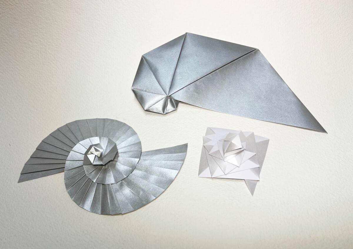 Sabato 8 Febbraio
14.30-17.30
CORSO ORIGAMI DESIGN
Le spirali della natura, conchiglie e altre forme, nelle interpretazioni origami di grandi auori T.Kawasaki e T Fuse, A. Brill ecc.