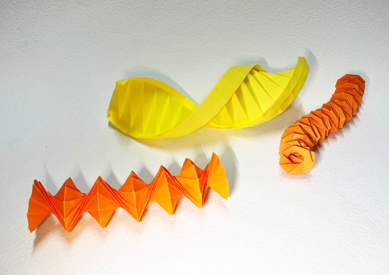 Sabato 15 Febbraio
14.30-17.30
CORSO ORIGAMI DESIGN
Le spirali in movimento, il DNA e i giochi di pieghe che si aprono  e si chiudono, i dervisci di carta che ruotano. Modelli di T.Yenn, J.Beynon, T.Fuse, L. Canovi ecc,